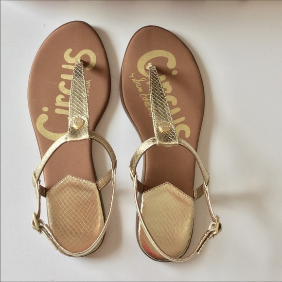 Circus by Sam Edelman Shoes - Circus by Sam Edelman Gold Sandals NIB